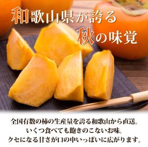平核無柿（ひらたねなしがき）約２kg　化粧箱入　和歌山秋の味覚［2026年発送］［UT35］