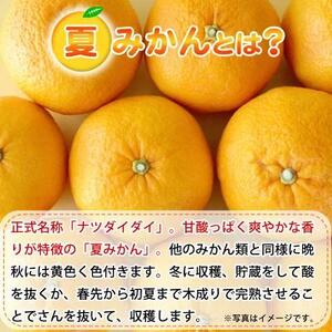 夏みかん 7.2kg［2026年4月中旬頃から発送］［先行予約］［UT73］