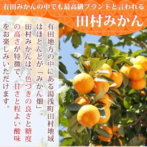 高級ブランド田村みかん　10kg［2026年11月下旬以降発送］［先行予約］［UT17］