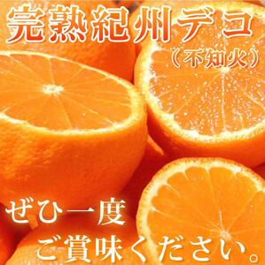 高級ブランド田村の完熟紀州デコ(不知火)［先行予約］［UT44］