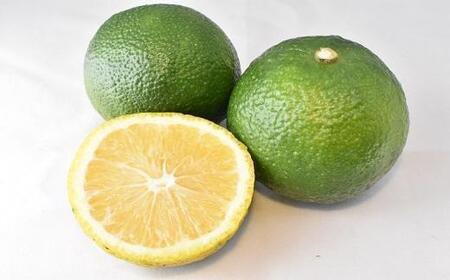 和歌山県の柑橘じゃばらパウダー 100g 【SW95】