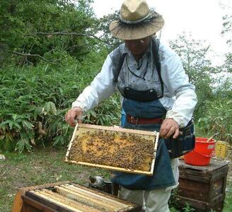 熊野古道 峠の蜂蜜3本セット 【SW71】