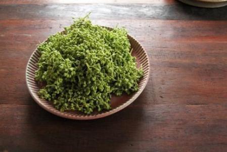 極旨！熊野牛 牛丼の具5個セット(粉山椒付) 【SW68】