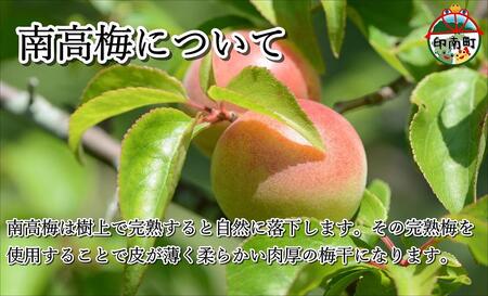 梅干 しそ梅1.2kg(300g×4)うめぼし