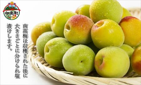 梅干 しそ梅1.2kg(300g×4)うめぼし