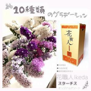 生花《スターチス》 花職人Ikeda（オリジナルアソート）