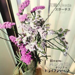 生花《スターチス》 花職人Ikeda（ピンク）