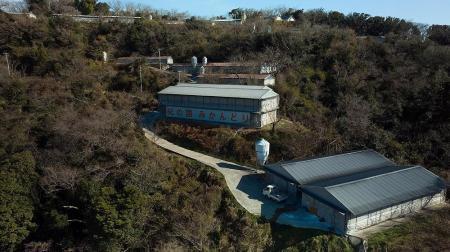 唐揚げ 紀の国みかんどり 特撰 唐揚げ40個 約1.5kg