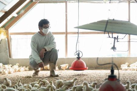 唐揚げ 紀の国みかんどり 特撰 唐揚げ40個 約1.5kg