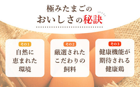 たまご  紀の国みかん極みたまご36個 　卵  玉子   卵かけご飯