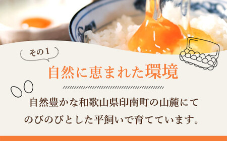 たまご  紀の国みかん極みたまご36個 　卵  玉子   卵かけご飯