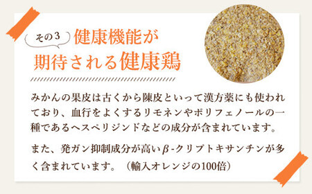 たまご  紀の国みかん極みたまご36個 　卵  玉子   卵かけご飯