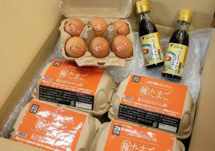 紀の国みかん極みたまごTKGセット