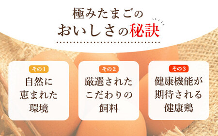 【全3回】紀の国みかん極みたまご定期便 卵 たまご 玉子 