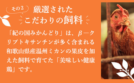 【全3回】紀の国みかん極みたまご定期便 卵 たまご 玉子 