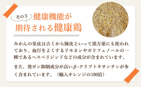 【全3回】紀の国みかん極みたまご定期便 卵 たまご 玉子 