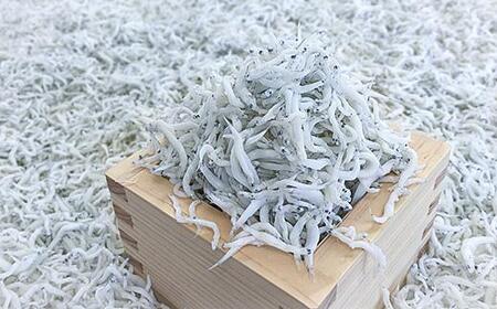 釜あげしらす 木箱900g