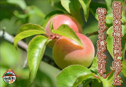 訳あり 【家庭用】紀州南高梅　かつお梅　1.2kg