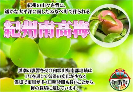 とまと梅　100g×5個