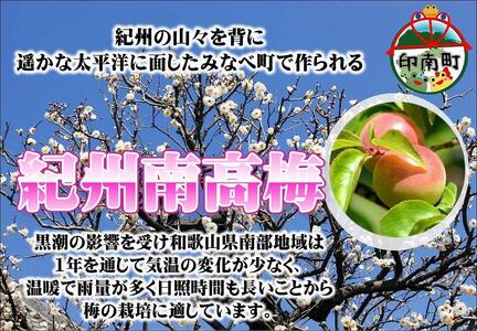 みかんこい梅 100g×5個 | 和歌山県印南町 | ふるさと納税サイト「ふる