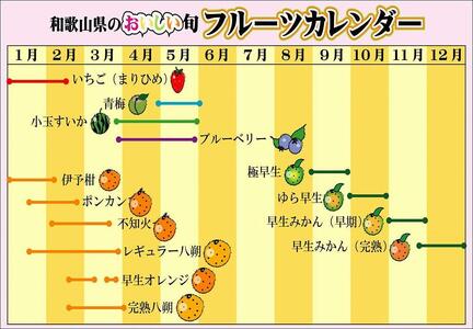 みかんこい梅 100g×5個 | 和歌山県印南町 | ふるさと納税サイト「ふる