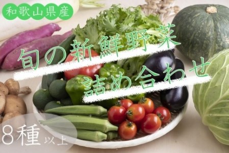 旬の新鮮野菜詰め合わせ 8種以上【野菜セット】