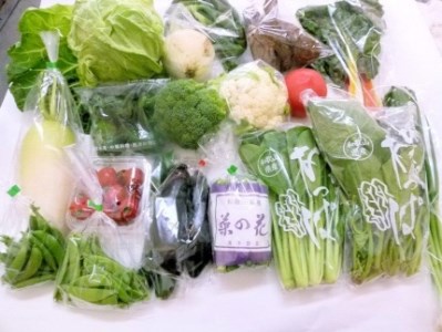 旬の新鮮野菜詰め合わせ 8種以上【野菜セット】