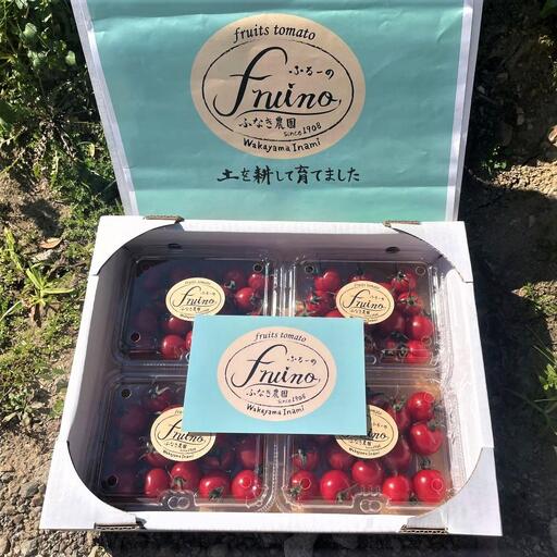 【2026年5月発送】フルーツトマト「fruino ふるーの」1箱（4パック）
