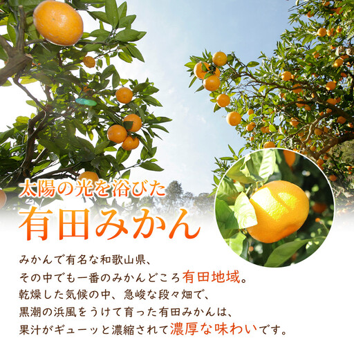 ［先行予約］家庭用 小さな有田みかん10kg+250g（傷み補償分）［2026年10月初旬から2027年1月末日頃順次発送予定］［IKE223］