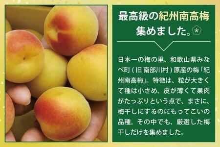 元祖はちみつ入梅干 黄金漬(1.5kg)umicbn003A