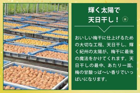 元祖はちみつ入梅干 黄金漬(1.5kg)umicbn003A