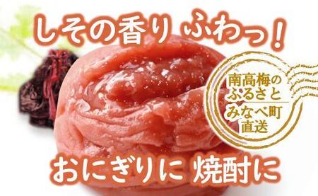 特選A級 紀州南高梅 しそ漬800g 千年の知恵 梅干し ブランド梅 和歌山県産 hoso006A