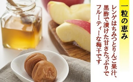 一粒の恵み kishusogo009