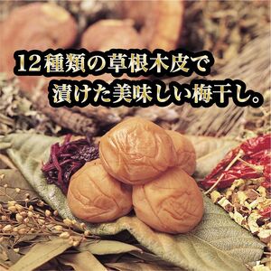 薬師梅【風(うすしお味)】 yakushi001A