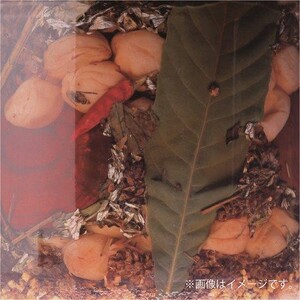 薬師梅【風(うすしお味)】 yakushi001A