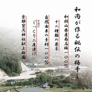 薬師梅【蜜(はちみつ味)】 yakushi002A