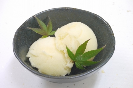 和歌山の南高梅（シャーベット）yplu004A