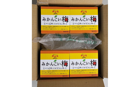 みかんこい梅 yplu005C