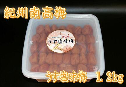 紀州南高梅 うす塩 yplu011A