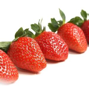 ［先行予約］いちご（まりひめ）レギュラーサイズ　1箱 tagfam001A