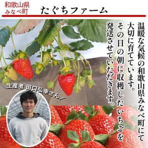 ［先行予約］いちご（まりひめ）レギュラーサイズ　1箱 tagfam001A