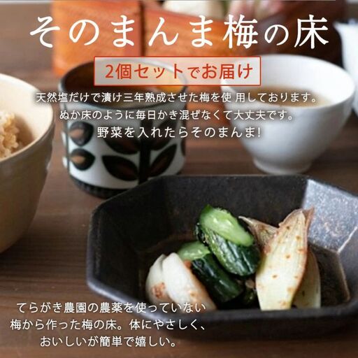 そのまんま梅の床・てんさい糖 250g×2 trgk001A【trgk001A】