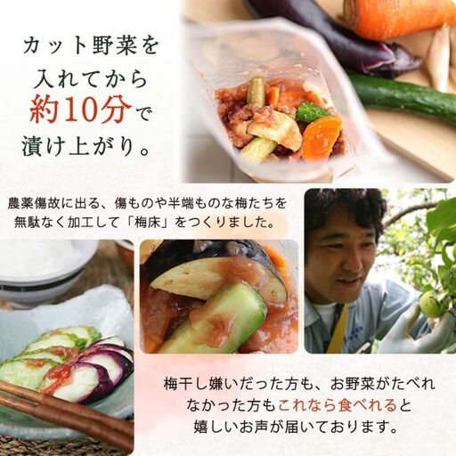 そのまんま梅の床・てんさい糖 250g×2 trgk001A【trgk001A】