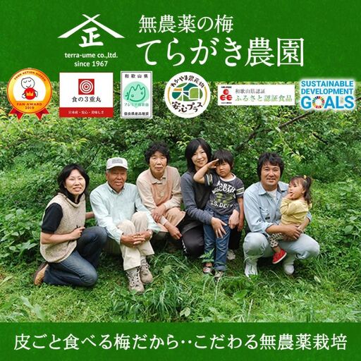 そのまんま梅の床・てんさい糖 250g×2 trgk001A【trgk001A】