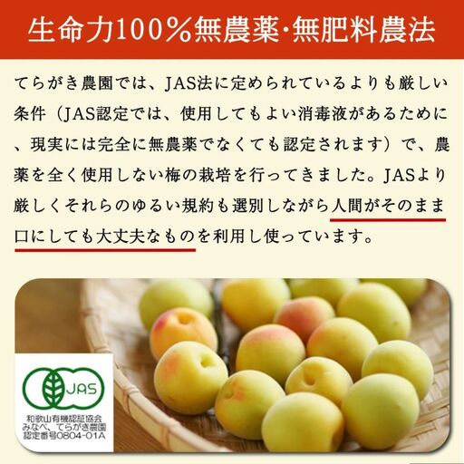 そのまんま梅の床・てんさい糖 250g×2 trgk001A【trgk001A】