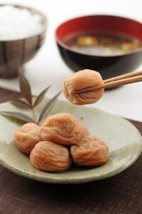 紀州南高梅 はちみつ仕立て1kg(500g×大きさ2種) shokibai003A