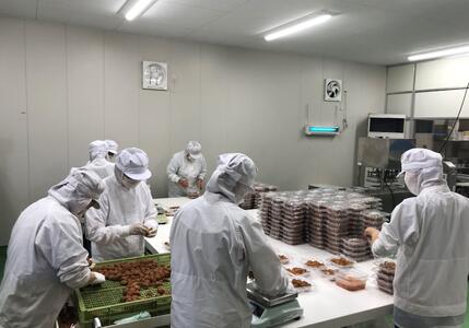 【塩分約8%】和歌山紀州南高梅 つぶれ梅 はちみつ漬け 訳あり 800g agrjpn002A