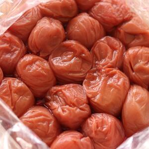 和歌山県紀州南高梅つぶれ はちみつ漬け&しそ漬け 訳あり 500g×2 agrjpn005A