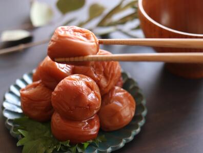 【塩分約8%】和歌山県紀州南高梅つぶれ はちみつ漬け訳あり 500g×2 agrjpn003A