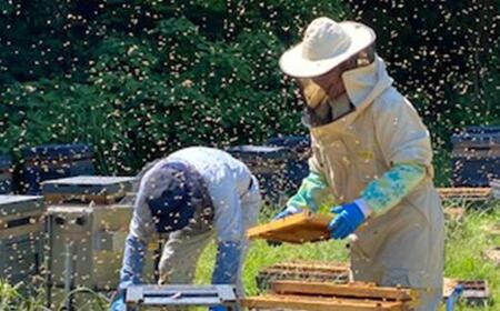 百花蜂蜜 約200g×3本 nkmryoho003A